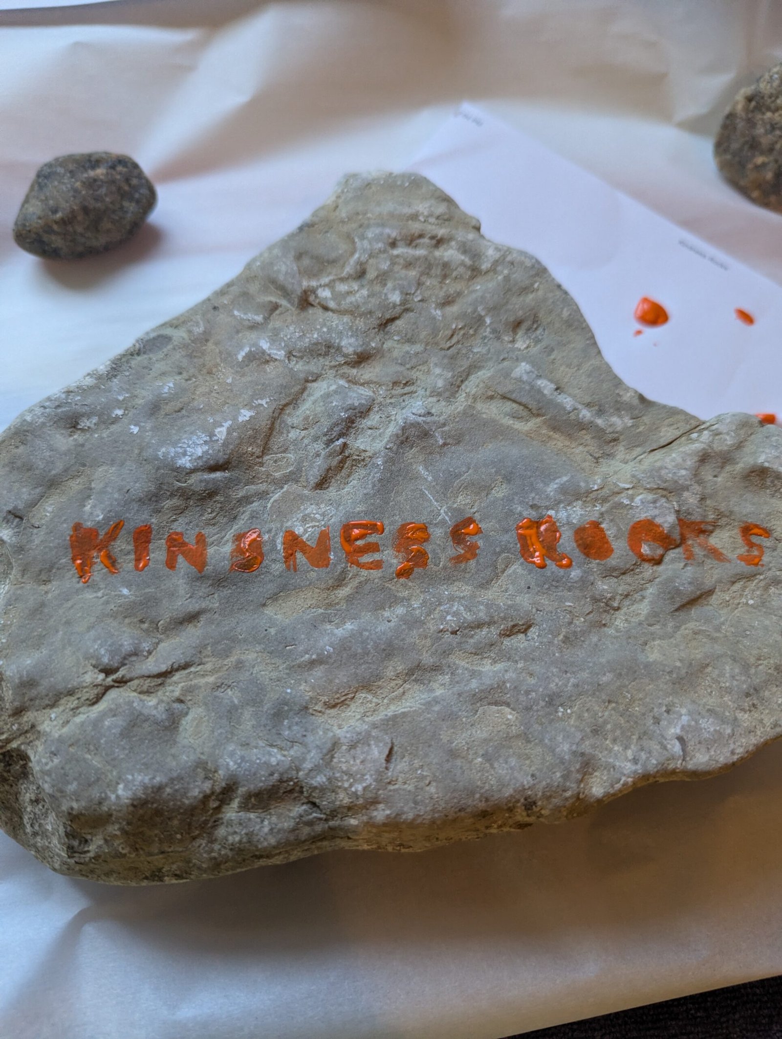 Kids with Kindness Rocks